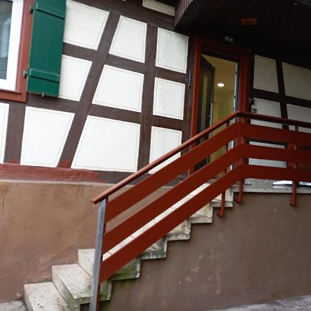 Apartment Viktoria Offenburg Esterno foto