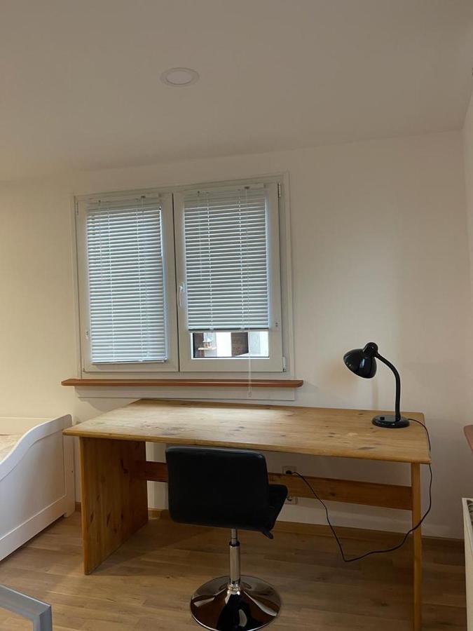 Apartment Viktoria Offenburg Esterno foto